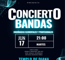 Concierto de Bandas
